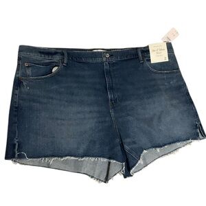 Abercrombie & Fitch The 4in Mom Short size 22 curve love NWT